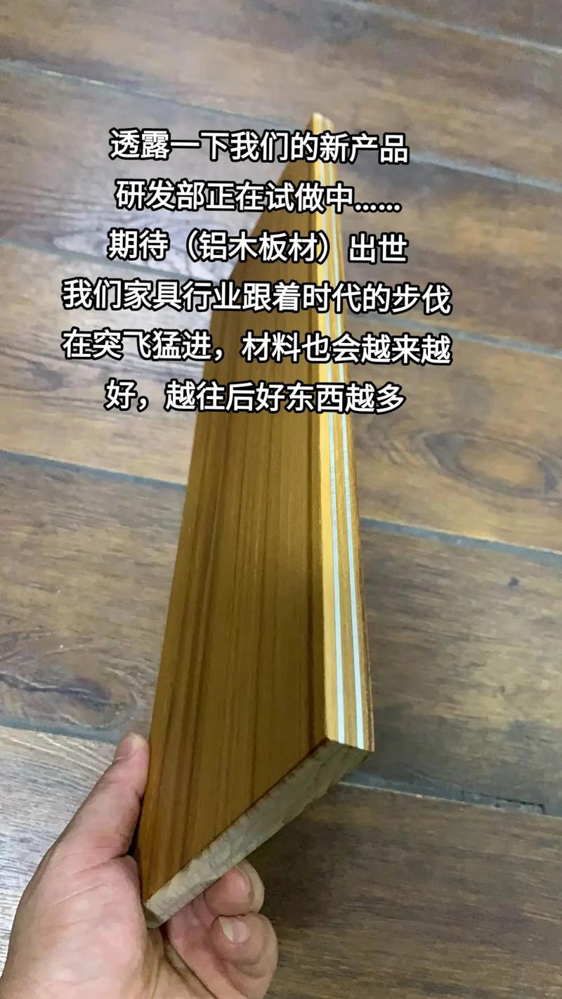 太原全屋定制工厂新品首发 铝木板材引领环保家居新潮流